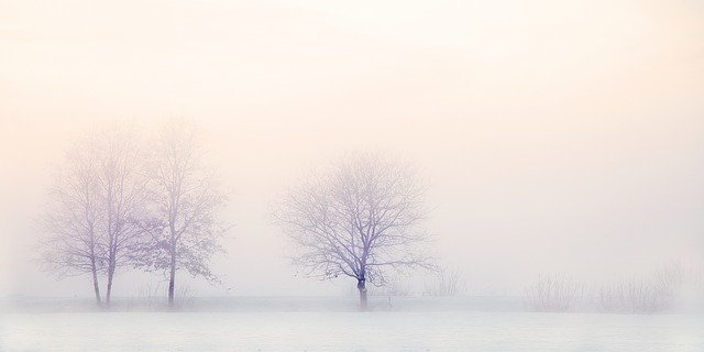 a picture of winter landscape